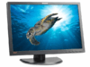 Lenovo ThinkVision LT2452p - LED monitor - 24" IPS - Guld stand