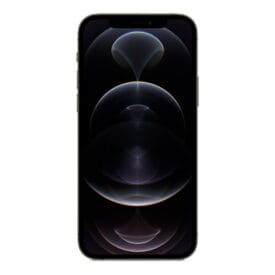 Apple iPhone 12 Pro 256GB (Granitgrå) - Sølv stand