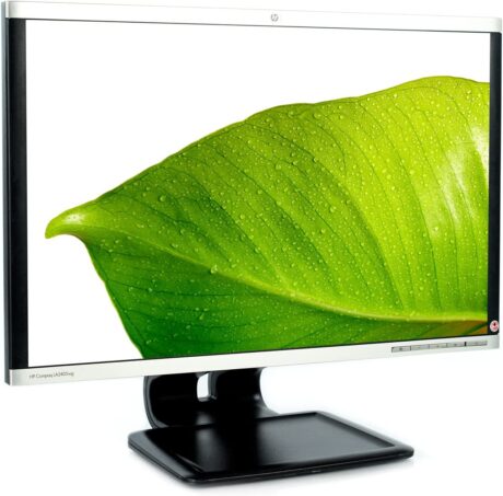 HP 24 LA2405wg FHD incl. power & VGA cable