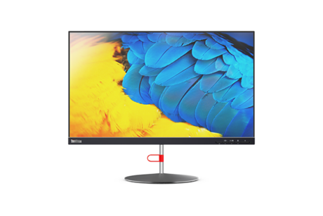 ThinkVision X24-20 - 24" - 1920 x 1080 - LED PC Skærm - IPS DISPLAY - RAVEN BLACK - HDMI - FHD (inkl. kabler) Guld Stand