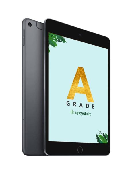 iPad mini 2 16 GB 20,1 cm (7.9") iOS 12