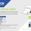 Epson - die cut high-gloss labels