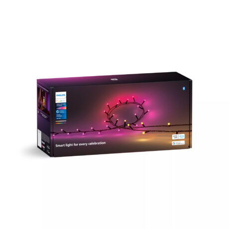 Philips Hue Festavia string lights 500LEDs