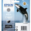 Epson T7607 - Light Black Ink - Blækpatron Lys sort
