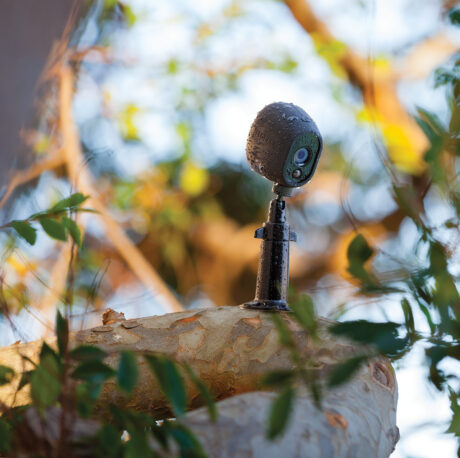 Arlo Adjustable Wall Mount Outdoor - Black
