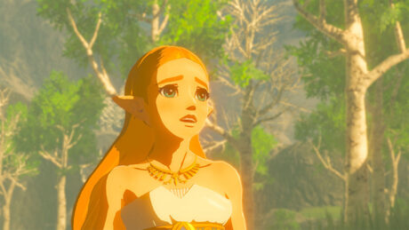 Nintendo The Legend of Zelda: Breath of the Wild - Switch - Action/Adventure