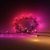 Philips Hue Festavia string lights 500LEDs