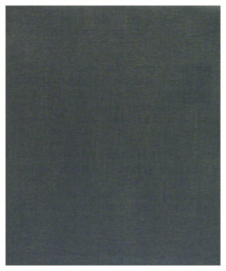 Bosch Slibeblad C355