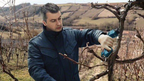 Bosch PRO PRUNER PROFESSIONAL CORDLESS SECATEUR