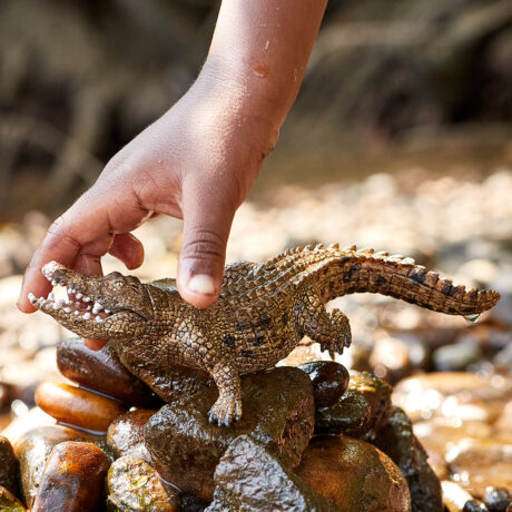 Schleich Krokodille