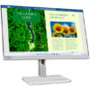 Lenovo 24" L24m-40 - 1920x1080 - 100Hz - VA - 75W USB HUB