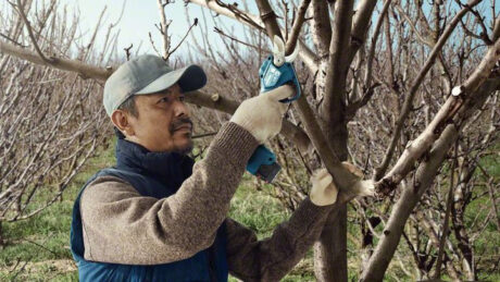 Bosch PRO PRUNER PROFESSIONAL CORDLESS SECATEUR
