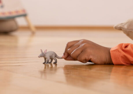 Schleich Jordsvin