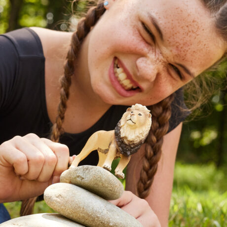 Schleich Lion