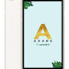 Apple iPhone SE 2022 - Guld stand