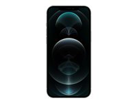 Apple iPhone 12 Pro Max 6.7 256GB Sølv - Sølv stand