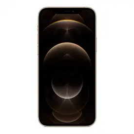 Apple iPhone 12 Pro 256GB (Guld) - Sølv stand